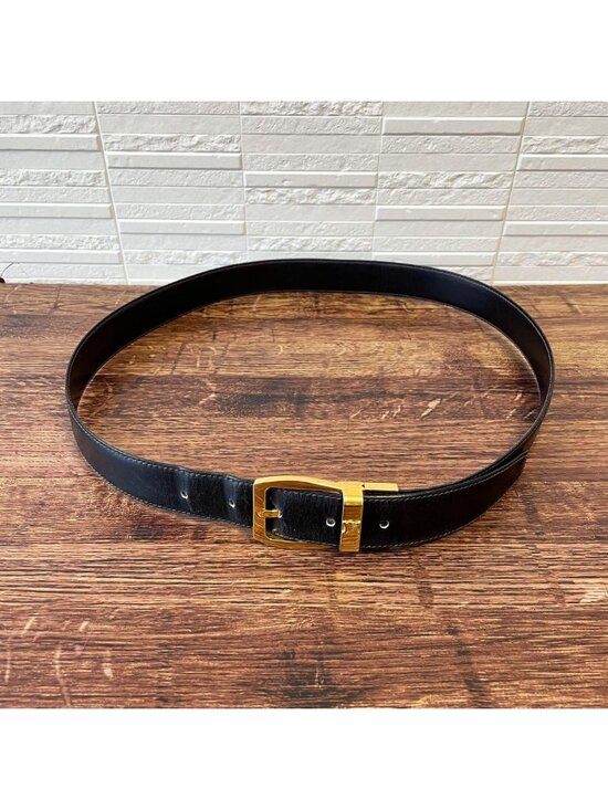 Celine Leather Triomphe Buckle Gold Belt Black main image 9